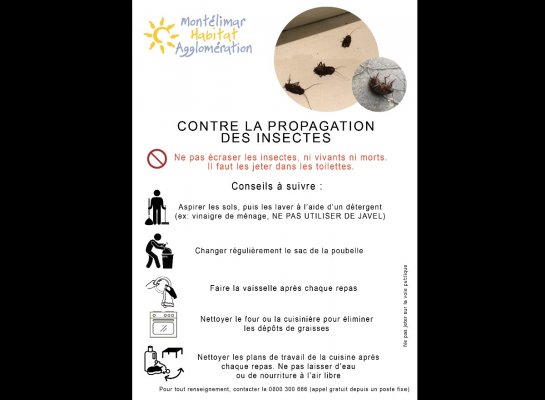 DESINSECTISATION / Info locataires