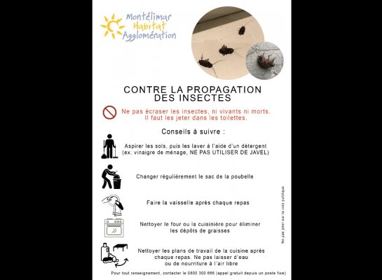 DESINSECTISATION